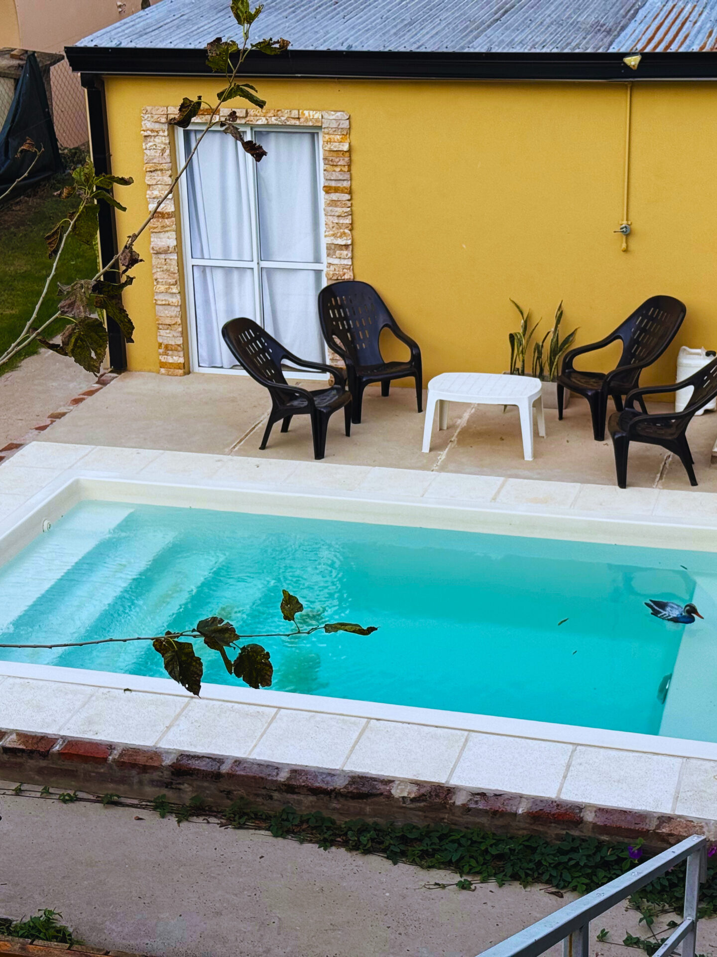 Piscina privada del Palito Lodge House en Villa Urquiza, ideal para pescadores y familias.