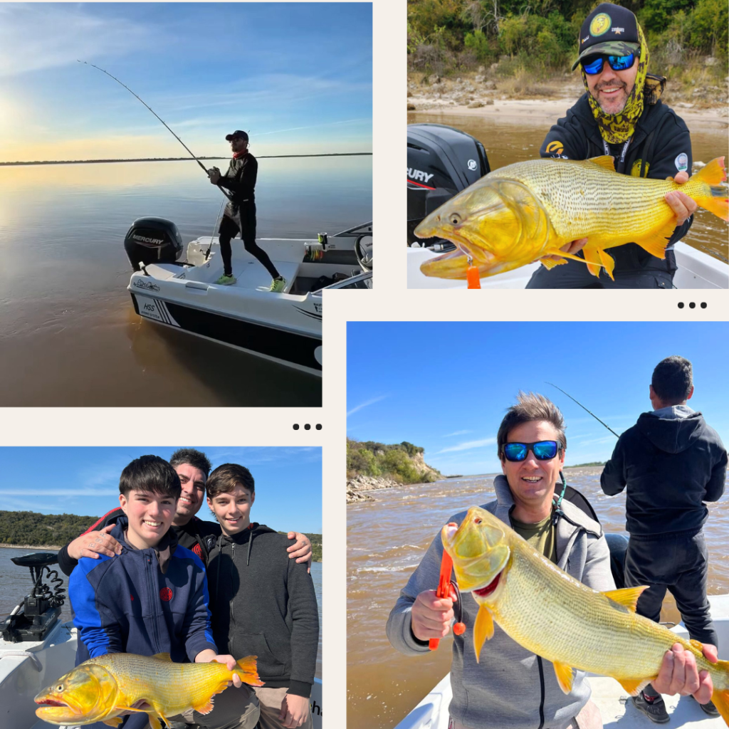 Collage de modalidades de pesca en el río Paraná: pescador de pie lanzando caña desde la lancha; guía sosteniendo un gran dorado dorado; grupo de jóvenes con dorado recién capturado; pescador con gafas de sol mostrando un dorado, con otro pescador lanzando al fondo.
