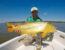 Pesca deportiva de dorados en Villa Urquiza Entre Rios , experiencia con embarcaciones modernas y almuerzo en la isla