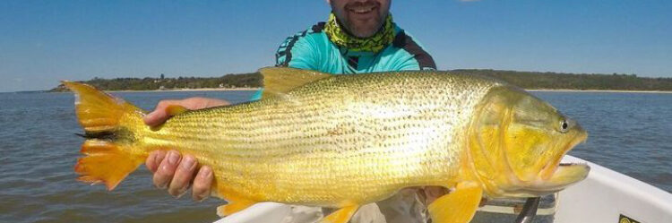 IMG_1121 Pesca deportiva de dorados en Villa Urquiza Entre Rios , experiencia con embarcaciones modernas y almuerzo en la isla
