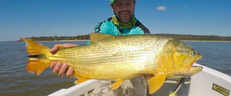 Pesca deportiva de dorados en Villa Urquiza Entre Rios , experiencia con embarcaciones modernas y almuerzo en la isla