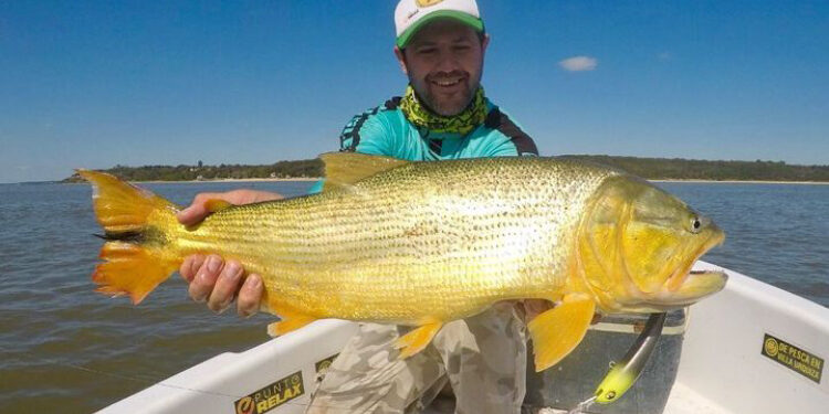 IMG_1121 Pesca deportiva de dorados en Villa Urquiza Entre Rios , experiencia con embarcaciones modernas y almuerzo en la isla