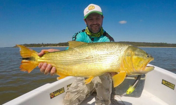 Pesca deportiva de dorados en Villa Urquiza Entre Rios , experiencia con embarcaciones modernas y almuerzo en la isla