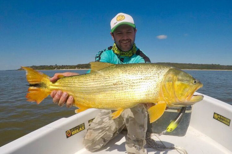 Pesca deportiva de dorados en Villa Urquiza Entre Rios , experiencia con embarcaciones modernas y almuerzo en la isla