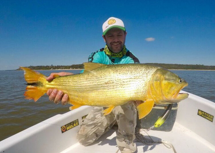 Pesca deportiva de dorados en Villa Urquiza Entre Rios , experiencia con embarcaciones modernas y almuerzo en la isla
