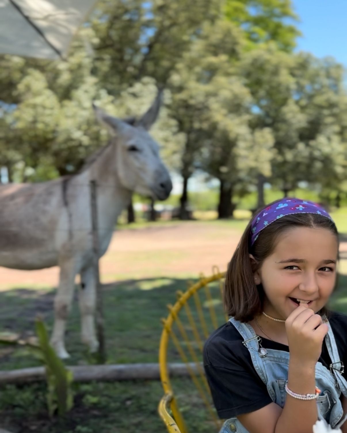 Granja con animales en Villa Urquiza